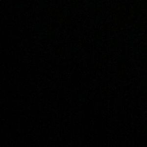 Meet your Posher, Riley